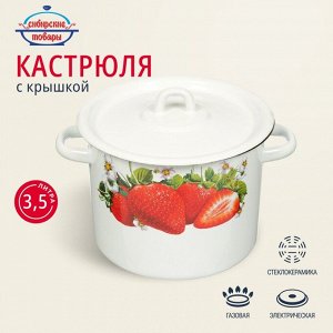 Кастрюля эмалированная сталь, 3.5 л, крышка сталь, цилиндрическая, Сибирские товары, Клубника садовая, С1612*59