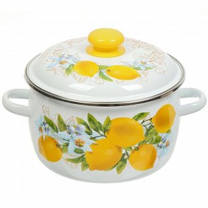 Кастрюля эмалированная сталь, 4 л, крышка сталь, сферический, Сибирские товары, Лимоны, 3MC201P, индукция