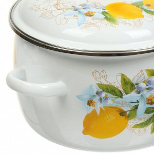 Кастрюля эмалированная сталь, 4 л, крышка сталь, сферический, Сибирские товары, Лимоны, 3MC201P, индукция