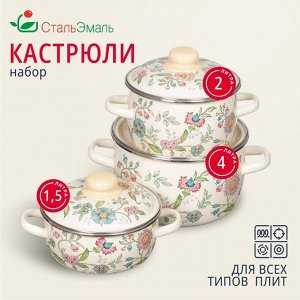 Набор посуды эмалированная сталь, 6 предметов, кастрюли 1.5,2,4 л, индукция, СтальЭмаль, Луговые цветы, 3КА071М