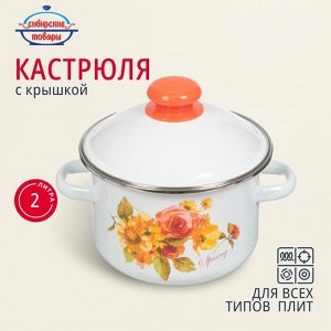 Кастрюля эмалированная сталь, 2 л, крышка сталь, цилиндрическая, Сибирские товары, Весна, 1MD161M, индукция