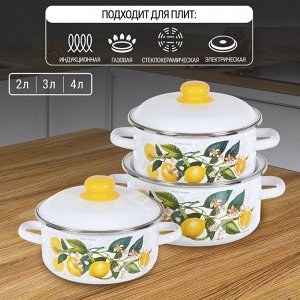 Набор посуды эмалированная сталь, 3 предмета, кастрюли 2,3,4 л, индукция, СтальЭмаль, Лимоны в цвету, 1KB051M