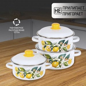 Набор посуды эмалированная сталь, 3 предмета, кастрюли 2,3,4 л, индукция, СтальЭмаль, Лимоны в цвету, 1KB051M
