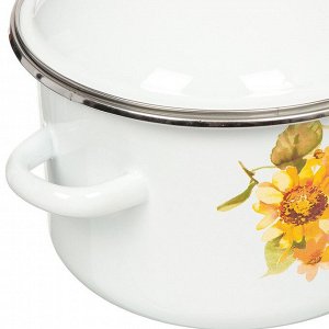 Кастрюля эмалированная сталь, 2 л, крышка сталь, цилиндрическая, Сибирские товары, Весна, 1MD161M, индукция