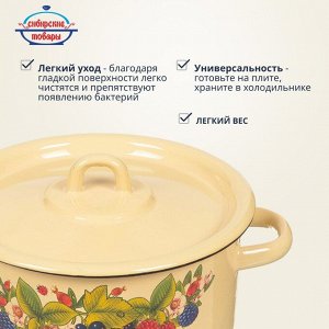 Кастрюля эмалированная сталь, 2 л, крышка сталь, цилиндрическая, Сибирские товары, С1610.П/С1610.3/С1610/*79/*67, в ассортименте