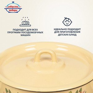 Кастрюля эмалированная сталь, 2 л, крышка сталь, цилиндрическая, Сибирские товары, С1610.П/С1610.3/С1610/*79/*67, в ассортименте