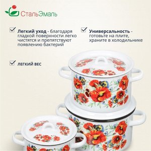 Набор посуды эмалированная сталь, 3 предмета, кастрюли 1.5,2.9,4.5 л, индукция, СтальЭмаль, Маки мечта, 1с33