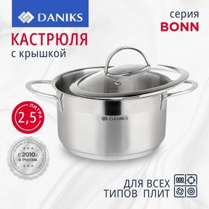 Кастрюля нержавеющая сталь, 2.5 л, крышка стекло, Daniks, Бонн, GS-01319-18CA, индукция
