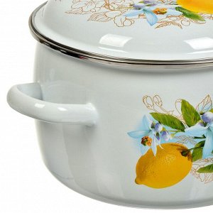 Кастрюля эмалированная сталь, 5.5 л, с крышкой, крышка сталь, сферический, Сибирские товары, Лимоны, 3MC221P, индукция