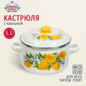 Кастрюля эмалированная сталь, 5.5 л, с крышкой, крышка сталь, сферический, Сибирские товары, Лимоны, 3MC221P, индукция