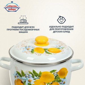 Кастрюля эмалированная сталь, 5.5 л, с крышкой, крышка сталь, сферический, Сибирские товары, Лимоны, 3MC221P, индукция