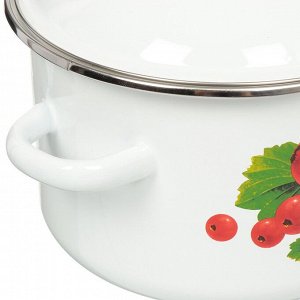 Кастрюля эмалированная сталь, 2 л, с крышкой, крышка сталь, цилиндрическая, Сибирские товары, Калина красная, 1MD161M, индукция