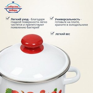 Кастрюля эмалированная сталь, 2 л, с крышкой, крышка сталь, цилиндрическая, Сибирские товары, Калина красная, 1MD161M, индукция