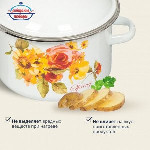 Кастрюля эмалированная сталь, 3 л, с крышкой, крышка сталь, цилиндрическая, Сибирские товары, Весна, 1MD181M, индукция