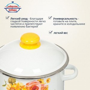 Кастрюля эмалированная сталь, 3 л, с крышкой, крышка сталь, цилиндрическая, Сибирские товары, Весна, 1MD181M, индукция