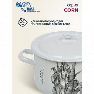 Кастрюля эмалированная сталь, 2.9 л, с крышкой, крышка сталь, цилиндрическая, ЛЗЭП, Corn, С-16111/4Э, индукция