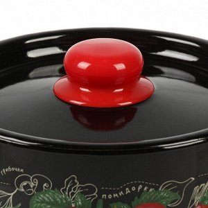 Кастрюля эмалированная сталь, 2.9 л, с крышкой, крышка сталь, цилиндрическая, СтальЭмаль, Помидорки, 1с16с/1, индукция