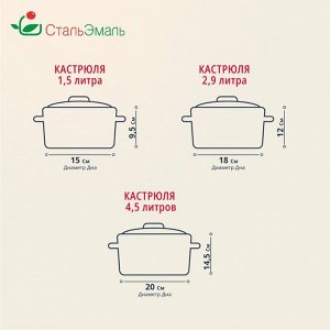 Набор посуды эмалированная сталь, 3 предмета, кастрюли 1.5,2.9,4.5 л, индукция, СтальЭмаль, Земляника, 1с144
