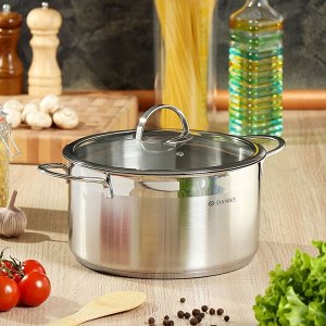 Кастрюля нержавеющая сталь, 5.8 л, крышка стекло, Daniks, Бонн, GS-01319-24CA, индукция