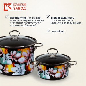Набор посуды эмалированная сталь, 6 предметов, кастрюли 1.9,2.5,5 л, индукция, Керченский металлургический завод, Адель 5-1 Элит