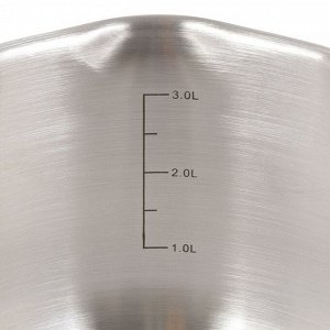 Кастрюля нержавеющая сталь, 3.9 л, крышка стекло, Daniks, Нара, GS-01413HY-20CA-2, серебристая, индукция