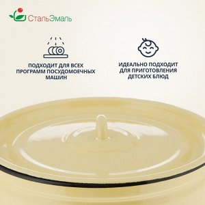 Кастрюля эмалированная сталь, 9 л, с крышкой, крышка сталь, СтальЭмаль, 1с200с, в ассортименте, индукция