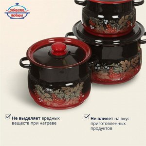 Набор посуды эмалированная сталь, 6 предметов, кастрюли 4,5.5,8 л, Сибирские товары, Рябинка 11, N11L05