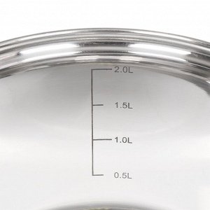 Кастрюля нержавеющая сталь, 2.9 л, крышка стекло, Daniks, Сиена, SD-A93-18, индукция