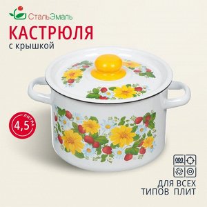 Кастрюля эмалированная сталь, 4.5 л, крышка сталь, СтальЭмаль, 1с17с, в ассортименте, индукция