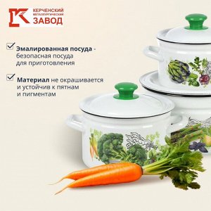Набор посуды эмалированная сталь, 3 предмета, кастрюли 2, 3, 5 л., Керченский металлургический завод, Зеленые овощи-1, белый