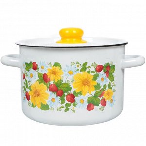 Кастрюля эмалированная сталь, 4.5 л, крышка сталь, СтальЭмаль, 1с17с, в ассортименте, индукция