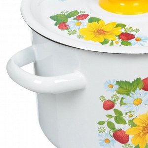 Кастрюля эмалированная сталь, 4.5 л, крышка сталь, СтальЭмаль, 1с17с, в ассортименте, индукция