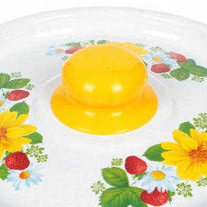 Кастрюля эмалированная сталь, 4.5 л, крышка сталь, СтальЭмаль, 1с17с, в ассортименте, индукция