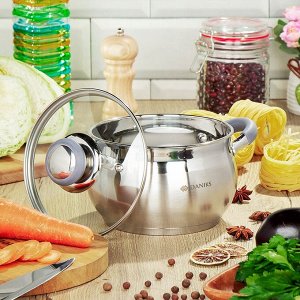 Кастрюля нержавеющая сталь, 2 л, крышка стекло, Daniks, Модерн серый, SD-16N, индукция
