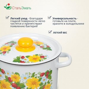 Кастрюля эмалированная сталь, 4.5 л, крышка сталь, СтальЭмаль, 1с17с, в ассортименте, индукция