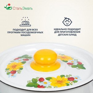 Кастрюля эмалированная сталь, 4.5 л, крышка сталь, СтальЭмаль, 1с17с, в ассортименте, индукция