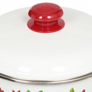 Кастрюля эмалированная сталь, 4 л, с крышкой, крышка сталь, цилиндрическая, Сибирские товары, Гранатовый сок, 1MD201M