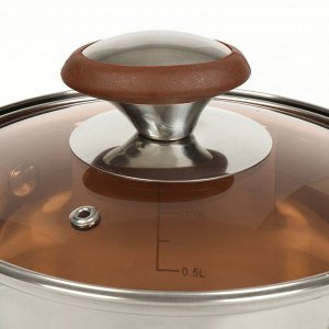 Кастрюля нержавеющая сталь, 2 л, крышка стекло, Daniks, Веллингтон, GS-01415-16CA, серебристая, индукция