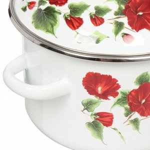 Кастрюля эмалированная сталь, 3 л, крышка сталь, цилиндрическая, Сибирские товары, Рамо, 3MD181M, индукция