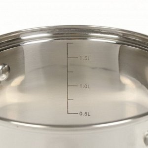 Кастрюля нержавеющая сталь, 2 л, крышка стекло, Daniks, Веллингтон, GS-01415-16CA, серебристая, индукция
