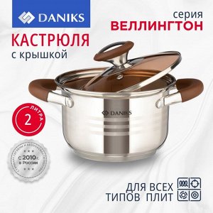 Кастрюля нержавеющая сталь, 2 л, крышка стекло, Daniks, Веллингтон, GS-01415-16CA, серебристая, индукция
