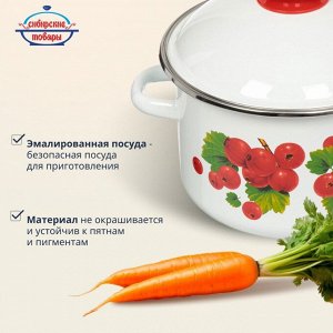 Кастрюля эмалированная сталь, 3 л, с крышкой, крышка сталь, цилиндрическая, Сибирские товары, Калина красная, 1MD181M/6MD181M, индукция