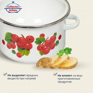 Кастрюля эмалированная сталь, 3 л, с крышкой, крышка сталь, цилиндрическая, Сибирские товары, Калина красная, 1MD181M/6MD181M, индукция