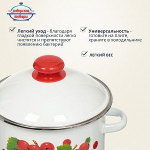 Кастрюля эмалированная сталь, 3 л, с крышкой, крышка сталь, цилиндрическая, Сибирские товары, Калина красная, 1MD181M/6MD181M, индукция