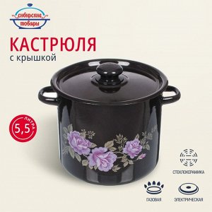 Кастрюля эмалированная сталь, 5.5 л, крышка сталь, цилиндрическая, Сибирские товары, С1617.36/С1617.13СГ, в ассортименте