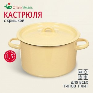Кастрюля эмалированная сталь, 1.5 л, с крышкой, крышка сталь, СтальЭмаль, 2с15/1/ 6с15, в ассортименте, индукция