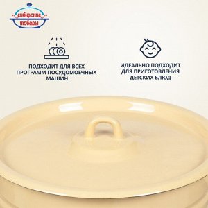 Кастрюля эмалированная сталь, 8 л, крышка сталь, цилиндрическая, Сибирские товары, С41620.П/С41620/С41620.3/.3СГ, в ассортименте