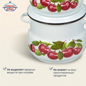 Набор посуды эмалированная сталь, 4 предмета, кастрюли 4,5.5 л, Сибирские товары, Вишневый сад 10, N10B55