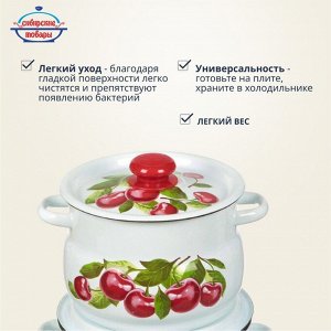 Набор посуды эмалированная сталь, 4 предмета, кастрюли 4,5.5 л, Сибирские товары, Вишневый сад 10, N10B55