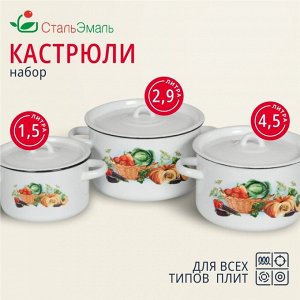 Набор посуды эмалированная сталь, 3 предмета, кастрюли 1.5,2.9,4.5 л, индукция, СтальЭмаль, Урожай, 1с33